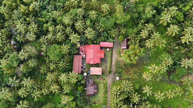 Khloe Serenity Guest House Batuan エクステリア 写真