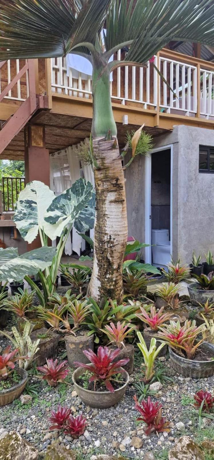 Khloe Serenity Guest House Batuan エクステリア 写真